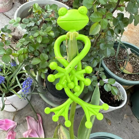 tutors for plants Vegetable garden accessories