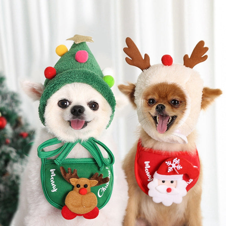 Pet Winter Products