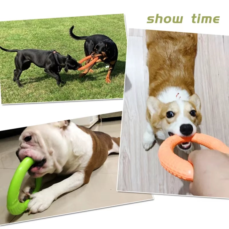 Floating Dog Chew Ring – Interactive Training Toy for Small & Medium Dogs