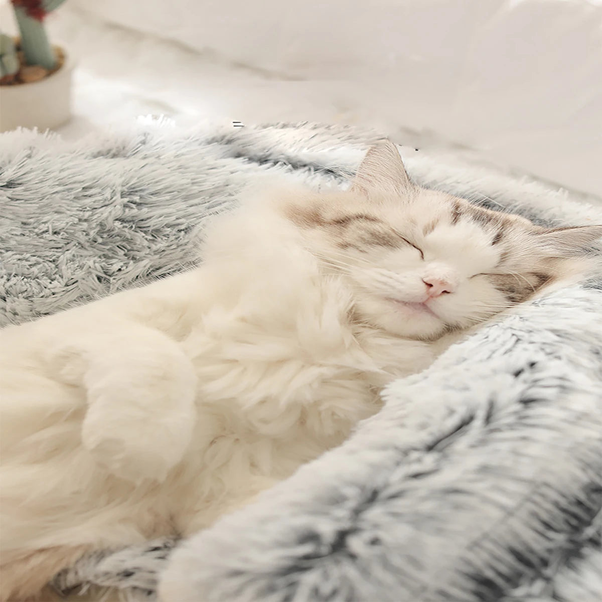 Pet Bed round Fluffy Soft Cat Bed , Warm Cat  Sleeping Cave.