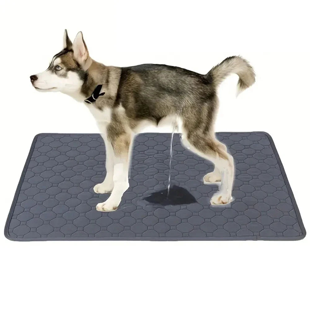 Washable Puppy Training & Pet Bed Mat