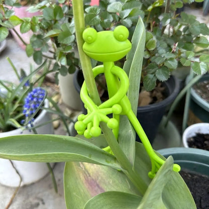 tutors for plants Vegetable garden accessories