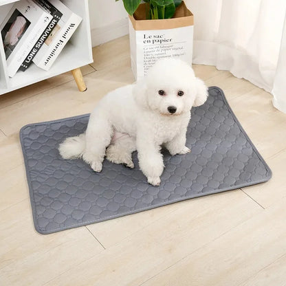 Washable Puppy Training & Pet Bed Mat