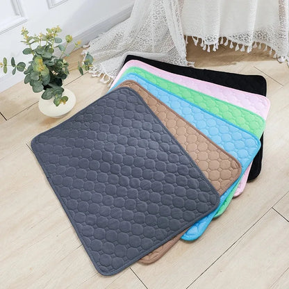 Washable Puppy Training & Pet Bed Mat